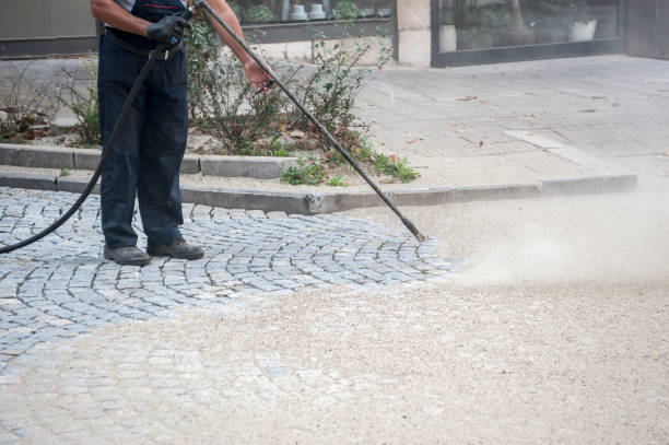 Best Spring Cleaning  in Falls City, OR
